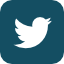 twitter-logo