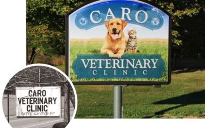 Caro Veterinary Clinic Sign Before and After