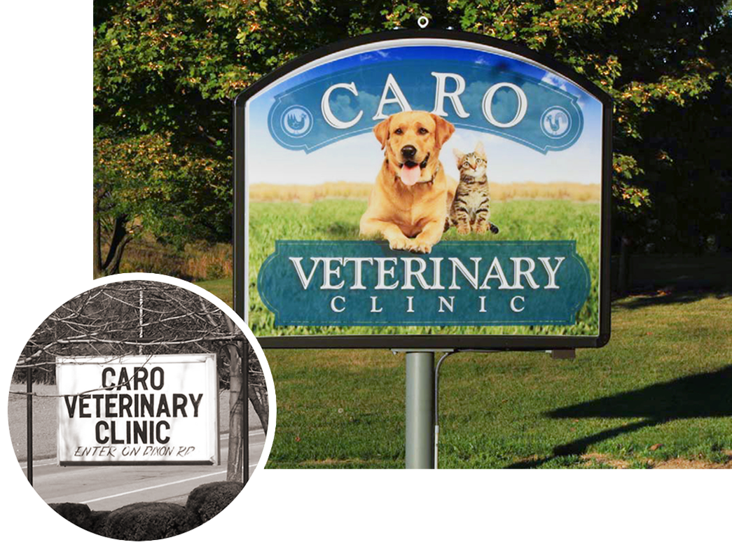 Caro Veterinary Clinic Sign Before and After